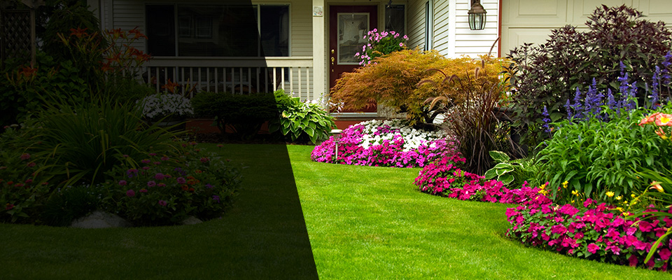 Sanibel Landscapers