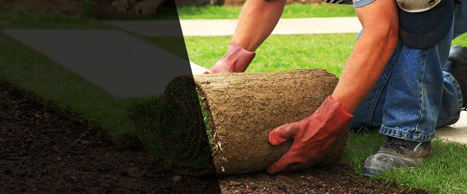 Sanibel Landscapers